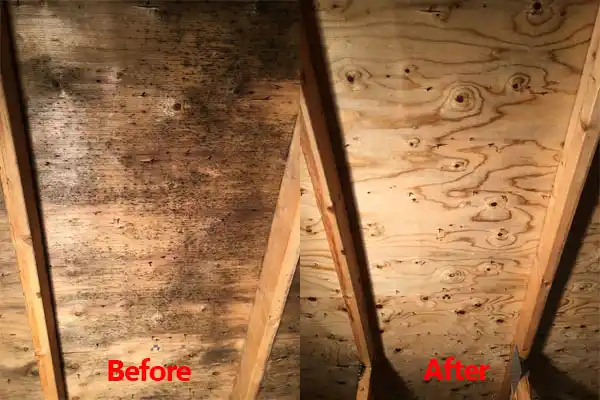 water damage restoration service South Weldon